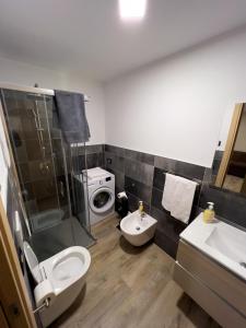 a bathroom with a toilet and a sink and a washing machine at El Rocol in Vezza dʼOglio +41 photos
