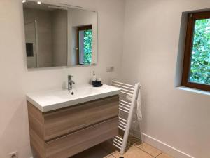 W łazience znajduje się umywalka i lustro. w obiekcie La Mouette Rose - a zen guest-house in Lauterbourg 