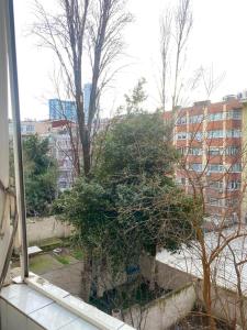een raam met uitzicht op een boom en gebouwen bij Şişli House in Istanbul