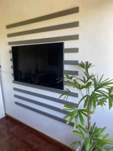 a living room with a fireplace and a plant at G3 Inn apartments in Mendoza