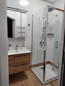 W łazience znajduje się szklana kabina prysznicowa i umywalka. w obiekcie Dom Przy Lesie na Warmii w mieście Woryty