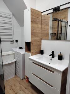 łazienka z umywalką i toaletą w obiekcie Dom Przy Lesie na Warmii w mieście Woryty