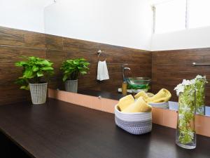 ein Badezimmer mit einem Waschbecken und einer Theke mit Pflanzen in der Unterkunft Casa Jardin del Mango in San José