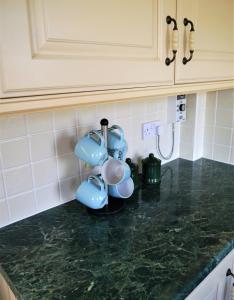 a kitchen counter with blue pots and pans on it at Woodhall Cottage in Annan