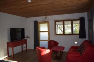 a living room with a red couch and a television at Gîtes du Franc Rosier in Rigny-Ussé