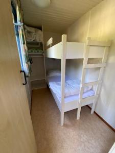 a small room with a bunk bed and a ladder at Cottage Rosa in Tourtoirac