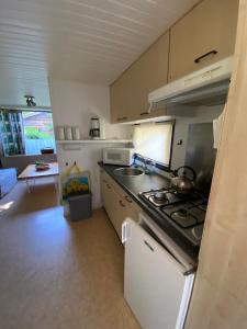 une petite cuisine avec une cuisinière et un évier dans l'établissement Cottage Rosa, à Tourtoirac