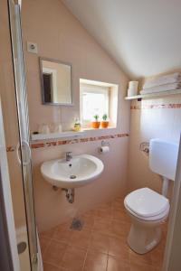 uma casa de banho com um lavatório, um WC e um espelho. em Apartma Steles em Stari Trg pri Ložu