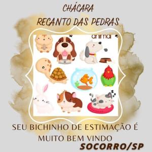 a poster for a dog day with dogs and animals at Chácara Recanto das Pedras - Socorro/SP - WiFi e Pebolim in Socorro