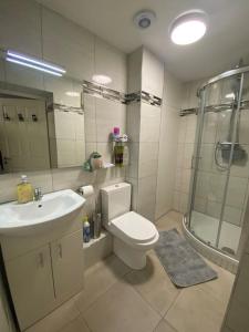 Central 2-bed Apartment في دبلن: حمام مع مرحاض ومغسلة ودش