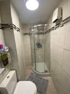 a small bathroom with a shower and a toilet at Central 2-bed Apartment in Dublin