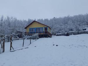 a house in a snow covered field with a fence at Cabana in poiana padurii in Recaş