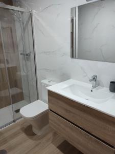 a bathroom with a toilet and a sink and a shower at LOFT MONTECERRAO H GARAJE Y WiFi GRATIS in Oviedo