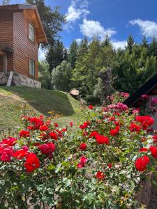 um monte de rosas vermelhas em frente a uma casa em Portal del Manzano em Villa La Angostura