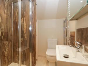 a bathroom with a shower and a toilet and a sink at Palace Studio in Hereford