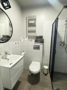 a bathroom with a toilet and a sink and a mirror at Apartamenty Zatorze in Leszno