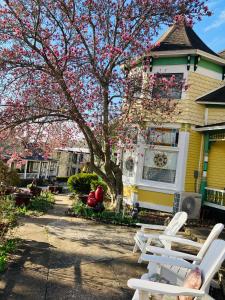 a tree with pink flowers in front of a house at All Seasons Inn in Eureka Springs