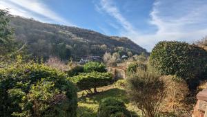 a view of a valley with trees and a mountain at Martha's Cottage in Ironbridge