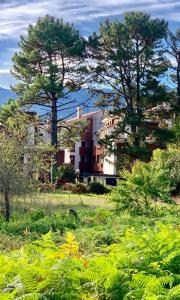 dos árboles en un campo al lado de un edificio en Apartamento Playa de Barro en Barro de Llanes