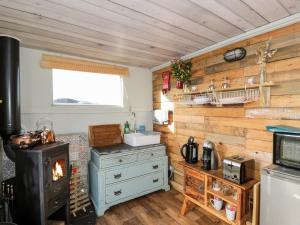 a kitchen with a stove and a wood wall at Ketburn Shepherds Hut at Balnab Farm in Newton Stewart