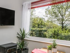 a living room with a window and plants at The Old School Bike Shed in Stirling