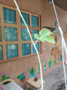 a swing in a room with a bunch of plants at Cabañas Maná in San Juan La Laguna