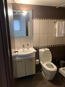 Koupelna v ubytování hommie apartment