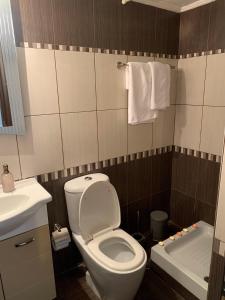 a bathroom with a toilet and a sink and a tub at hommie apartment in Amaliás