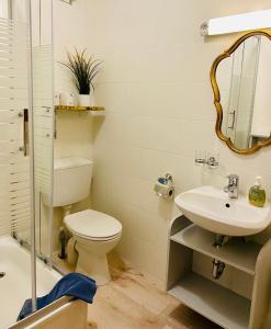 a bathroom with a toilet and a sink and a mirror at Kajüthus Apartment 2 in Fehmarn