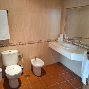 a bathroom with a toilet and a sink and a mirror at Hotel Rural Carlos Astorga in Archidona