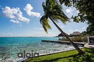 a palm tree in front of the ocean at Villa Xtohil with private access to the magic 7 colors lagoon in Bacalar