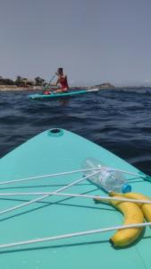 a banana sitting on top of a surfboard in the water at Estudio Caballo-Piscina in Denia