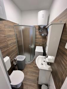 a bathroom with a shower and a toilet and a sink at Villa Magdalena apartments & rooms in Maribor