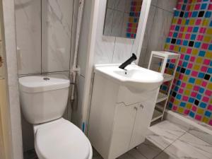 a bathroom with a white toilet and a sink at ANDI 3-apartament in Băile Herculane +11 photos