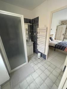 baño con ducha, cama y lavamanos en Le Pyrénéen - Le Bohème - Maison Cosy, en Cazaubon