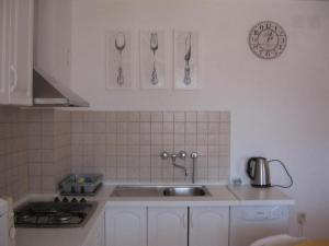 una cucina con lavandino e utensili appesi al muro di Apartment Luca a Prvić Luka (Provicchio)