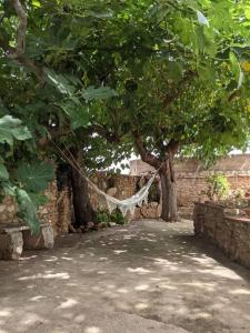 Vonkajšia záhrada v ubytovaní Casa rural frente al mar La Toscana