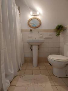 La salle de bains est pourvue de toilettes, d'un lavabo et d'un miroir. dans l'établissement Monoambiente en excelente ubicación, à Mendoza