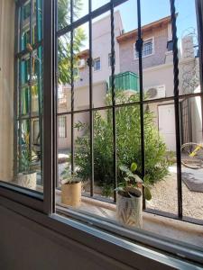 una ventana con tres macetas en el alféizar de una ventana en Monoambiente en excelente ubicación en Mendoza