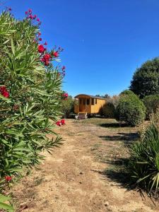 ein Haus inmitten eines Gartens mit Blumen in der Unterkunft La roul'hôte dépote in Monbéqui