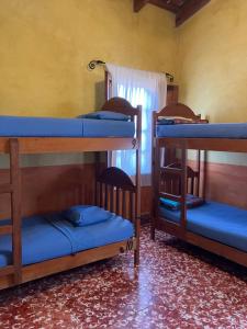 Hostel Iguana Azul tesisinde bir odada yatak veya yataklar