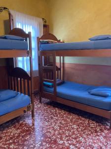 Hostel Iguana Azul tesisinde bir odada yatak veya yataklar