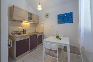 Kuchyň nebo kuchyňský kout v ubytování Apartments Iskra