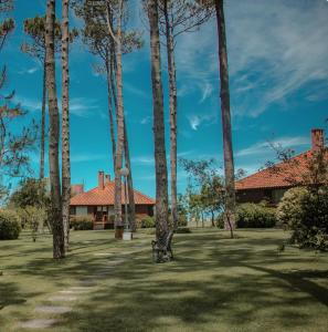 a group of palm trees in a yard with a house at Il Belvedere in Punta del Este