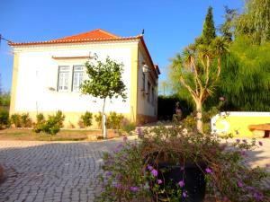 Um jardim no exterior de B&B Quarto Violeta com Chaminé