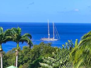 a sail boat in the ocean with palm trees at Bungalow Alnamaka : vue mer - piscine - plage à 5mn in Pointe-Noire