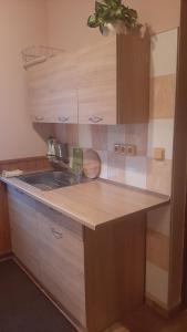Kuchyň nebo kuchyňský kout v ubytování Guest House Vila Frýdštejn