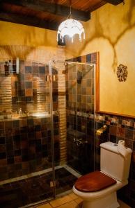 a bathroom with a toilet and a glass shower at CASA RURAL EL RONDILLO in Navaconcejo