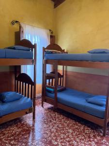 Hostel Iguana Azul tesisinde bir odada yatak veya yataklar