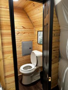 łazienka z toaletą w drewnianym domku w obiekcie WISH UPON A STAR VACATION PROPERTIES w mieście Rogersville